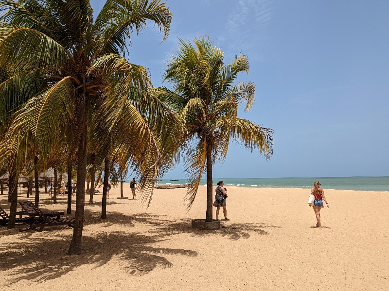 Plage et palmiers au Sénégal, image d’inspiration